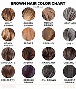 Image result for Ash Brown Hair Color Chart