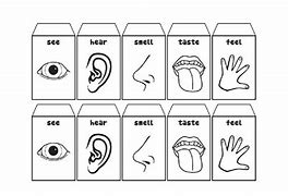 Image result for Sensory Art Activities