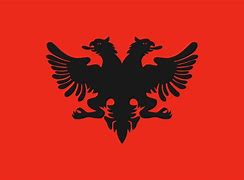 Image result for Albania Flag Simple