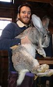 Image result for Really Fat Bunny