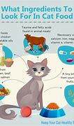 Image result for Cat Food Types