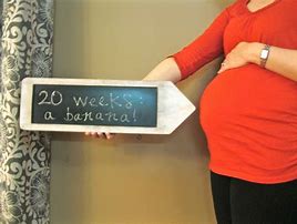 Image result for 9 Weeks Pregnancy