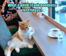 Image result for Friday Cute Office Meme