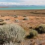 Image result for Patagonian Desert Letter Starting