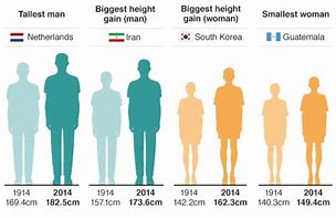 Image result for 8 Inches Taller