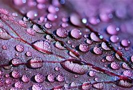 Image result for 1280X720 Droplets Wallpaper Red and White