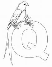 Image result for Animal Alphabet Letter Q