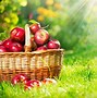 Image result for Fall Apple's On Table Backgrounds