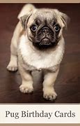 Image result for Pug Birthday Card