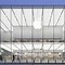 Image result for Apple Store Asia