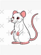Image result for Albino Rat Meme