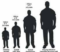 Image result for Tall Men 6 Foot 10
