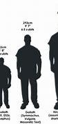 Image result for 6 Foot 9 Inches Tall