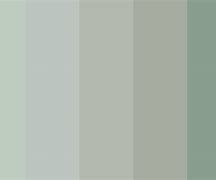 Image result for Dirty Green Color