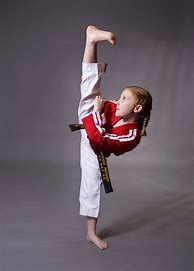 Image result for Taekwondo High Kick Girl