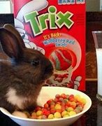 Image result for Silly Rabbit Trix Are for Kids Slogan