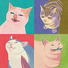 Image result for Cut Cat Art