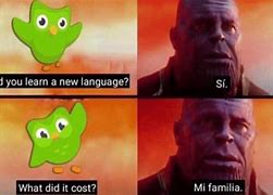 Image result for Duolingo Notification Meme