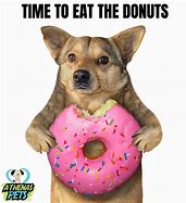 Image result for Hungry Dog Meme
