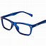 Image result for Blue Eyeglasses Women