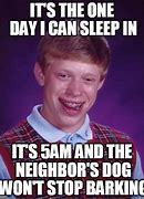 Image result for Funny Sleeping Dog Memes