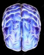 Image result for Electric Brain
