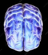 Image result for Electrical Brain