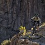 Image result for Best Looking Mountain Bike