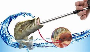 Image result for Fly Fishing Hook Remover