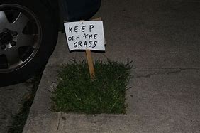 Image result for Keep Off Grass Meme