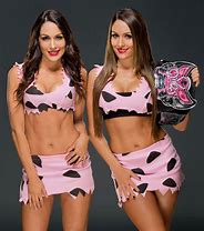 Image result for Brie and Nikki Bella Photo Shoot
