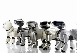 Image result for First Aibo