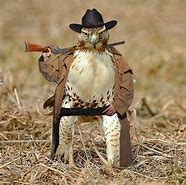Image result for Bird Head Human Body