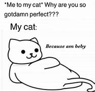 Image result for Blurry Cat Memes
