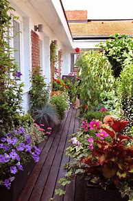 Image result for balconies gardening ideas