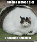 Image result for Seafood Diet Meme