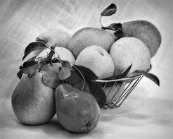 Image result for Black and White Photography Pears