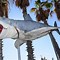 Image result for Bruce Jaws Shark Toy