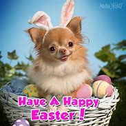 Image result for Happy Easter Dog Meme