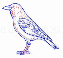 Image result for Easy Draw Raven