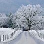 Image result for Pretty Winter Snow Scenes
