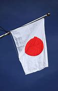 Image result for Japanese Flag Art