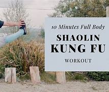 Image result for Kung Fu Exercises