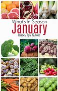 Image result for January Season