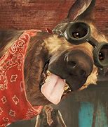 Image result for Fallout 4 Fan Art Dog Meat