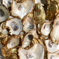 Image result for Soft Gold Aesthetic