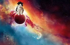 Image result for Cool Space Cat Wallpapers
