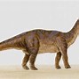 Image result for Large Picture Diplodocus Dinosaur