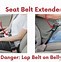 Image result for Short Seat Belt
