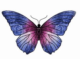 Image result for Purple and Black Butterfly Clip Art